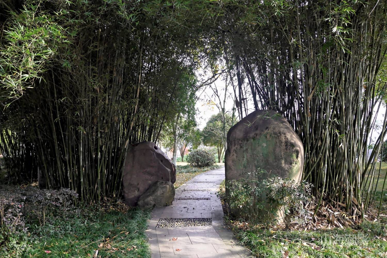 仙居永安公园 — 湖光山色与人文休闲融合的影视拍摄胜地 治愈景区(图30)