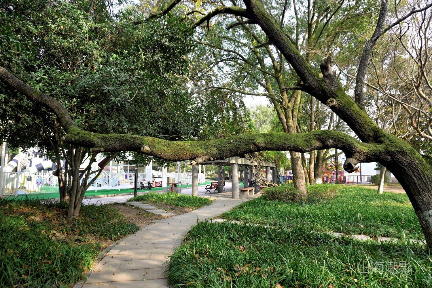 仙居永安公园 — 湖光山色与人文休闲融合的影视拍摄胜地 治愈景区(图35)