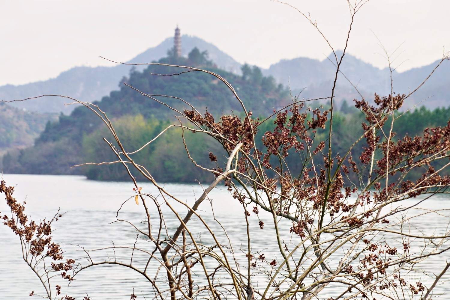 仙居永安公园 — 湖光山色与人文休闲融合的影视拍摄胜地 治愈景区(图13)