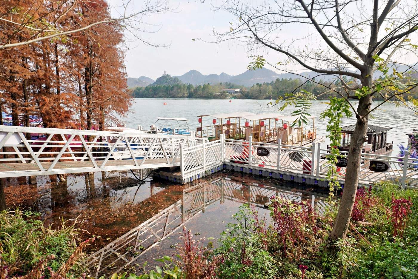 藏在永安溪畔的“水上影棚”——烟霞湖游客码头影视拍摄全攻略 治愈系列(图27)