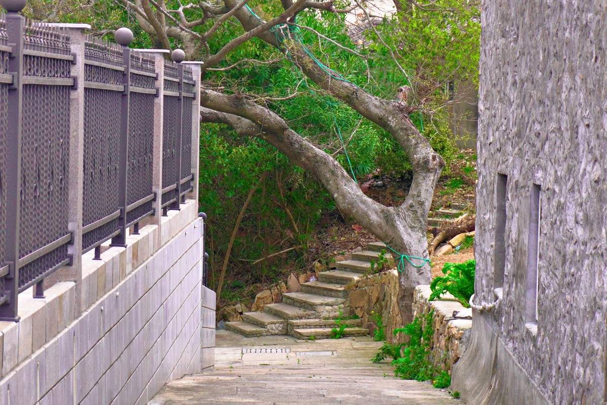 上栈头村 —— 山海渔村与自然景观融合的影视拍摄点位(图25)