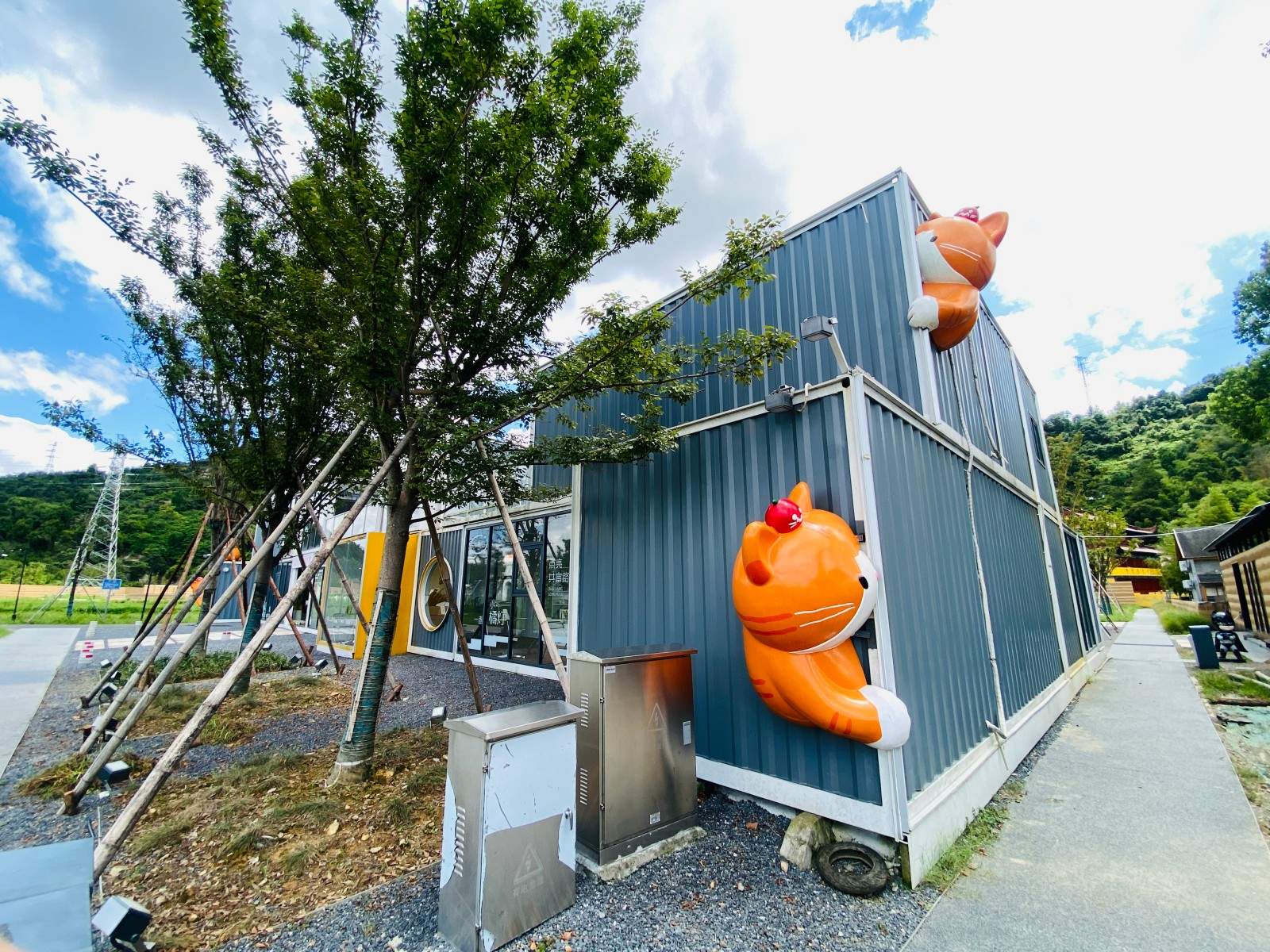 台州黄岩这片花海中藏着网红集装箱书吧！文艺题材拍摄太合适了 新型阅读空间/咖啡/治愈(图15)