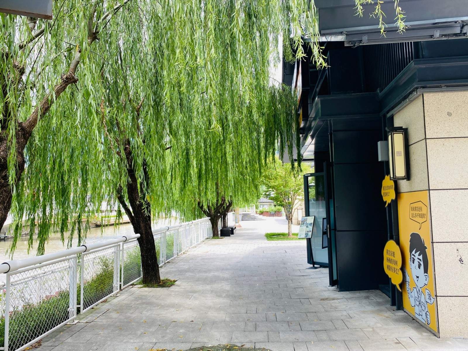 黄岩混知知识馆：南官河畔漫画科普新型文化片场 书吧/咖啡/茶饮/(图6)