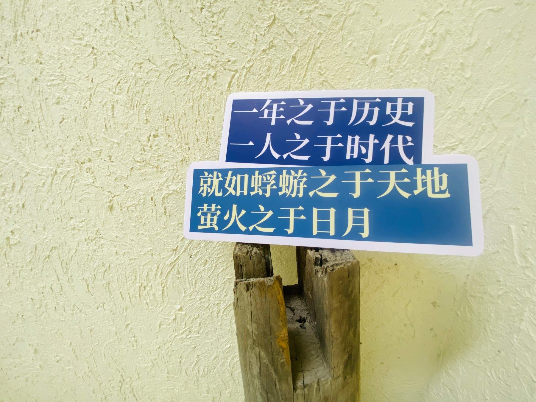蜉蝣岛·屿Lab：官河水畔都市公共文化阅读片场 书吧/治愈/(图22)