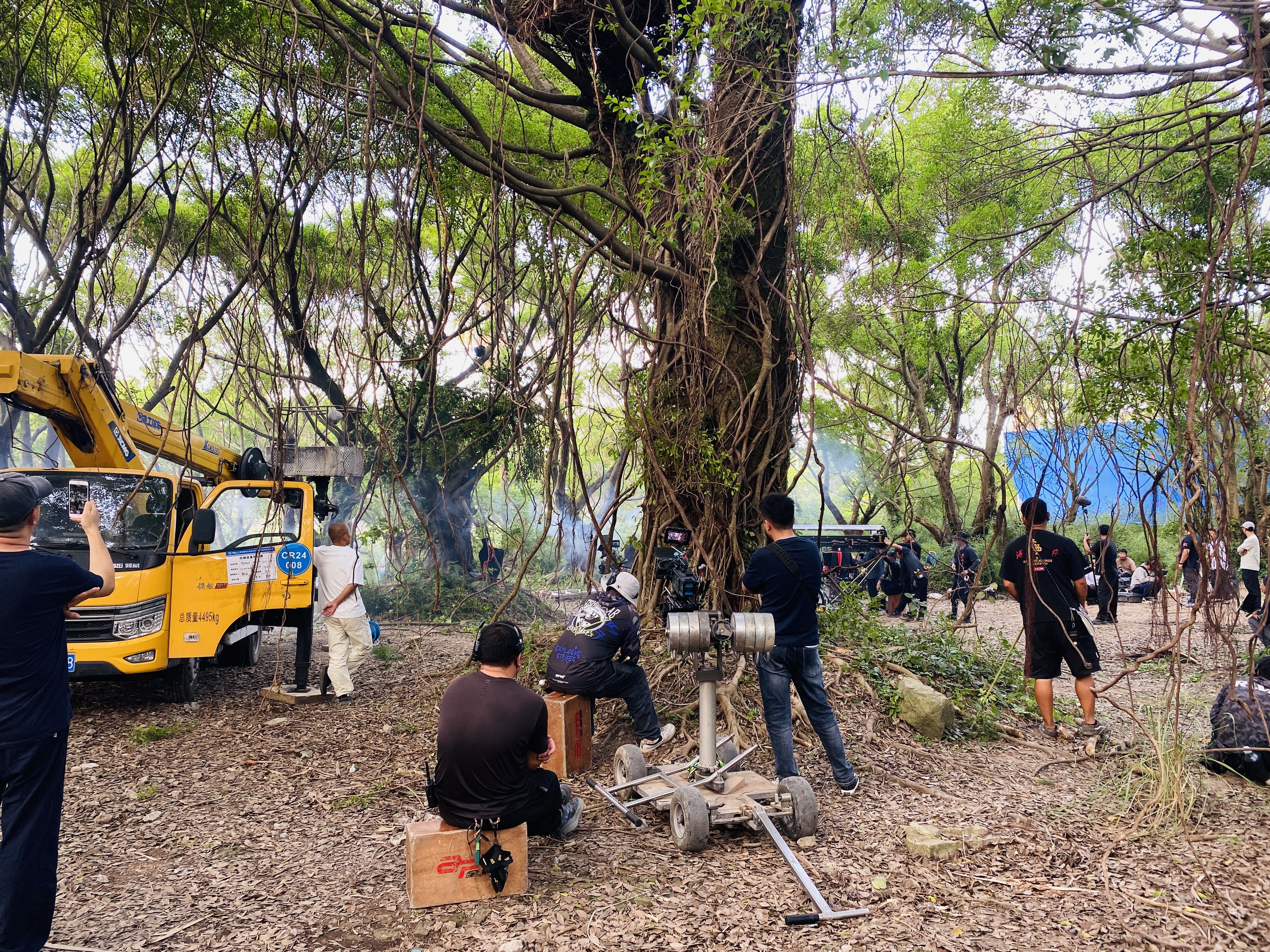 电视剧《战争与人》在台州拍摄完成 榕树林