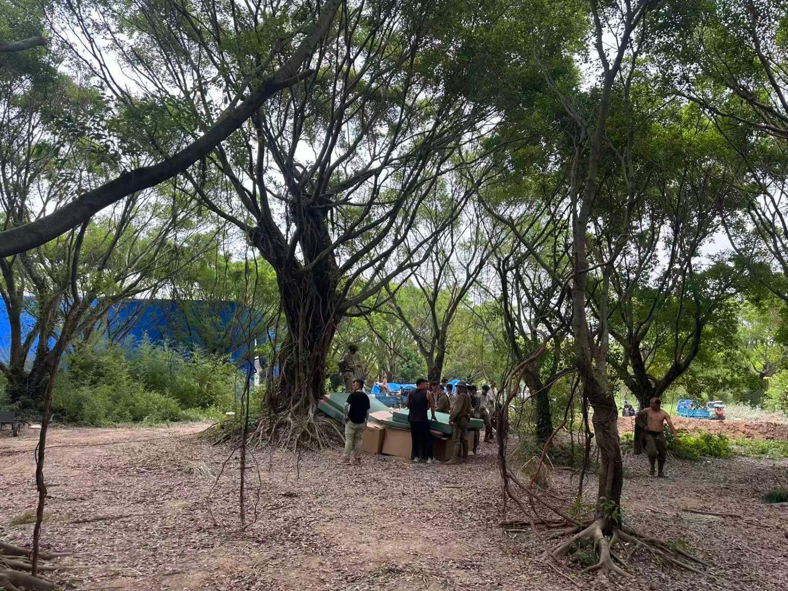 电视剧《战争与人》在台州拍摄完成 榕树林实景再现战争史诗(图4) 电视剧《战争与人》在台州拍摄完成 榕树林实景再现战争史诗(图4)