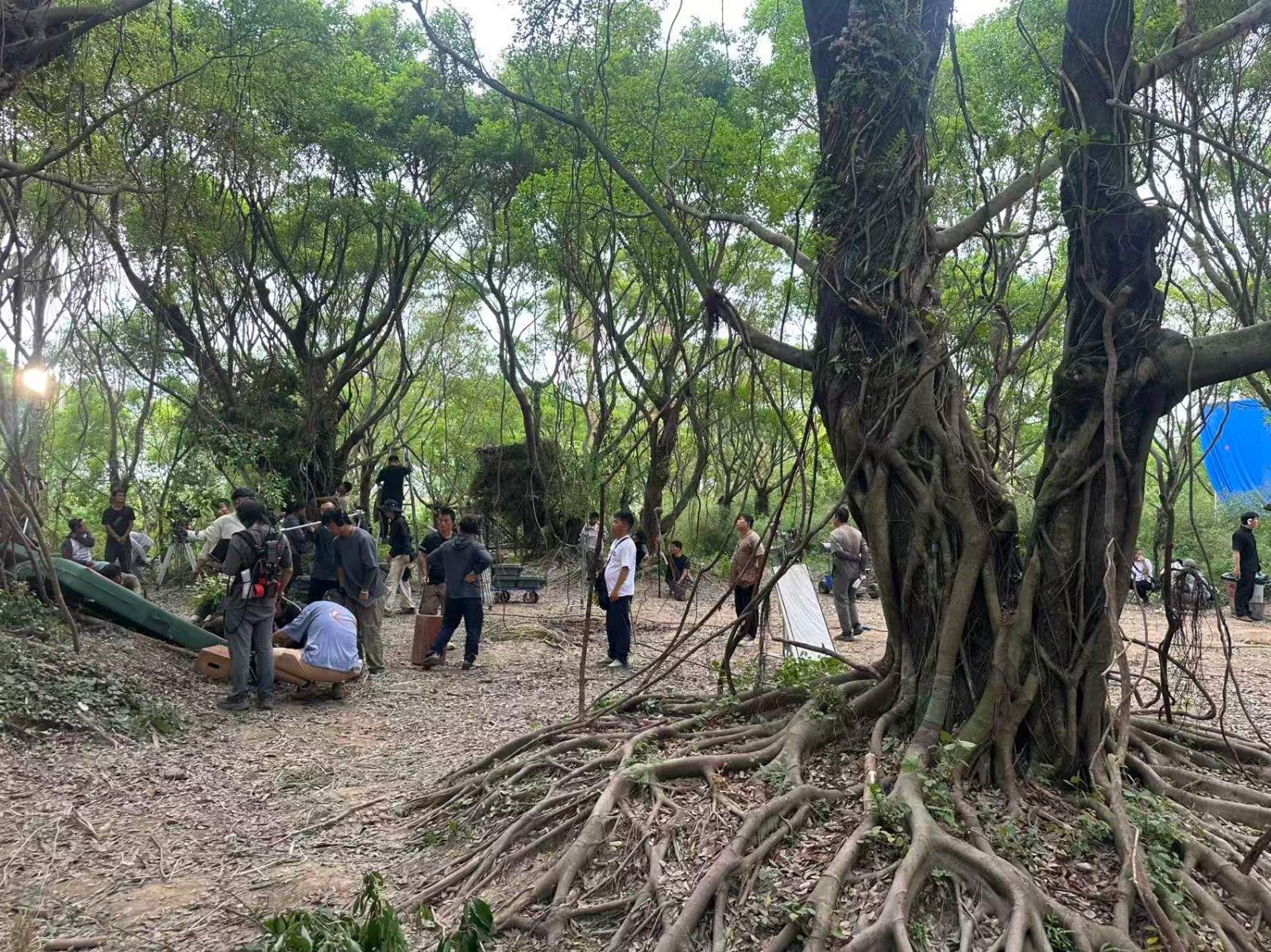 电视剧《战争与人》在台州拍摄完成 榕树林实景再现战争史诗(图9) 电视剧《战争与人》在台州拍摄完成 榕树林实景再现战争史诗(图9)
