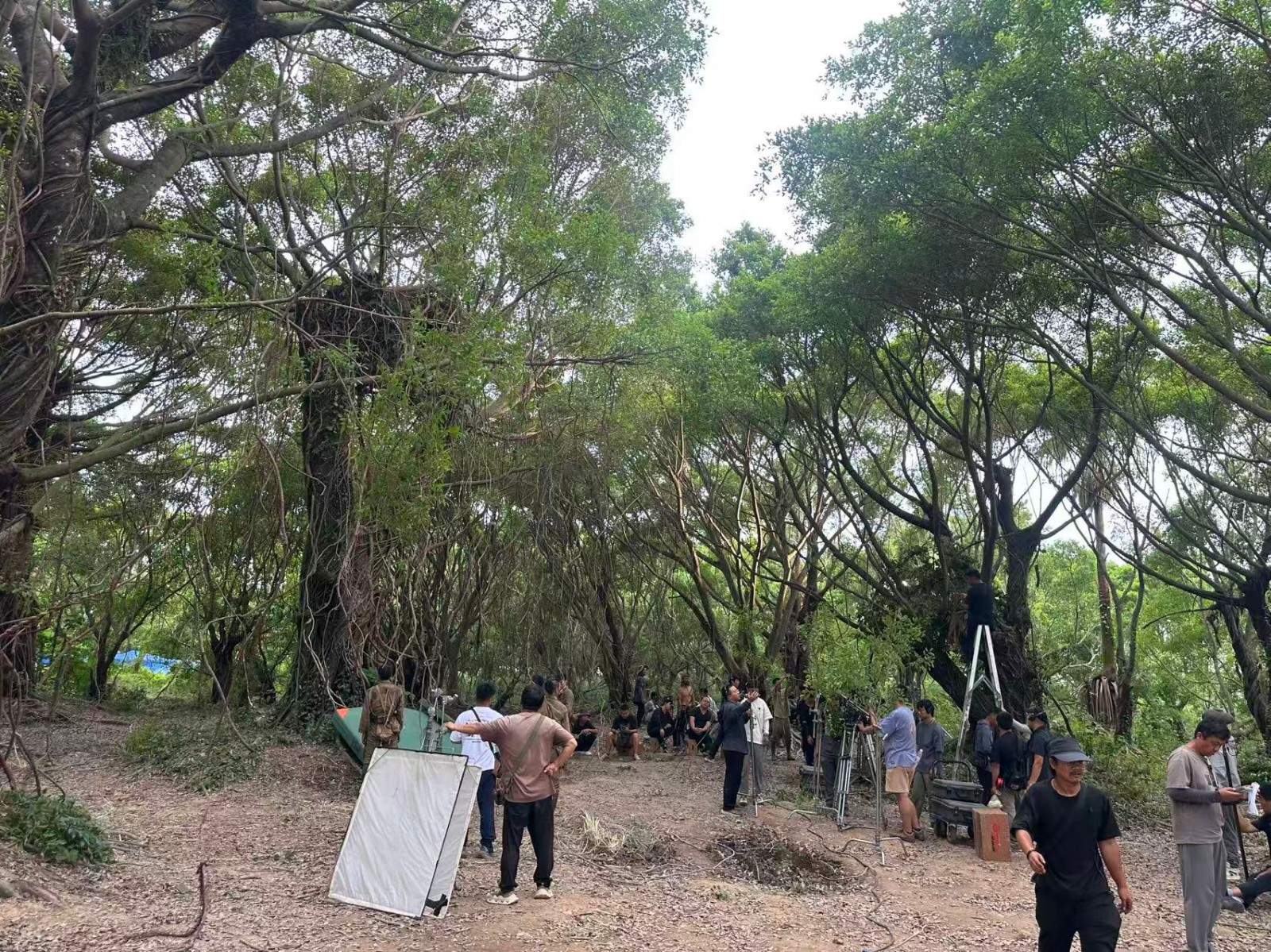 电视剧《战争与人》在台州拍摄完成 榕树林实景再现战争史诗(图12) 电视剧《战争与人》在台州拍摄完成 榕树林实景再现战争史诗(图12)