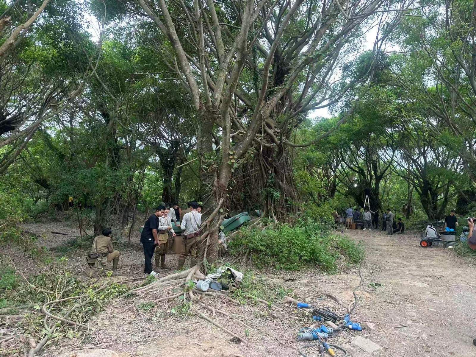 电视剧《战争与人》在台州拍摄完成 榕树林实景再现战争史诗(图13) 电视剧《战争与人》在台州拍摄完成 榕树林实景再现战争史诗(图13)